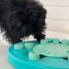 Nina Ottosson Dog Worker Composite Aktivitetsleke Nina Ottosson Dog Worker Composite Aktivitetsleke