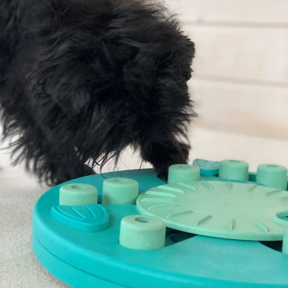 Nina Ottosson Dog Worker Composite Aktivitetsleke