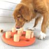 Nina Ottosson Dog Smart Composite Aktivitetsleke Nina Ottosson Dog Smart Composite Aktivitetsleke