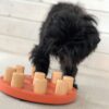 Nina Ottosson Dog Smart Composite Aktivitetsleke Nina Ottosson Dog Smart Composite Aktivitetsleke
