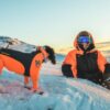 Non-Stop Dogwear Protector Snow - Snødrakt Heldress til hann hund Non-Stop Dogwear Protector Snow - Snødrakt Heldress til hann hund
