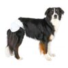 Trixie hundebleie 12pk Trixie hundebleie 12pk