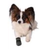 Trixie Walker Care Protective hundesko Trixie Walker Care Protective hundesko