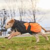 Non-Stop Dogwear Glacier Jacket 2.0 Vinter Varmedekken til hund Non-Stop Dogwear Glacier Jacket 2.0 Vinter Varmedekken til hund