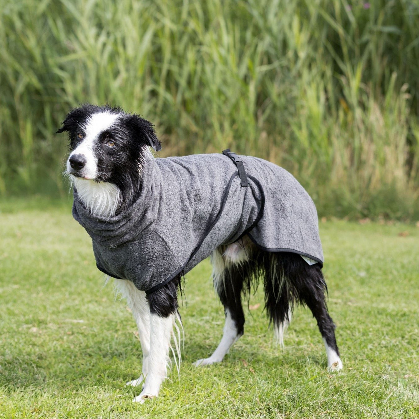 Trixie Badekåpe Tørkedekken Hund
