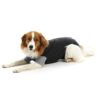 BUSTER Body Suit Classic til hund BUSTER Body Suit Classic til hund