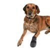 Trixie Walker Care Protective hundesko Trixie Walker Care Protective hundesko