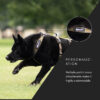 Non-Stop Dogwear Line Harness Long WD Lang Hundesele Non-Stop Dogwear Line Harness Long WD Lang Hundesele