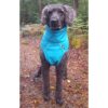 Trixie Vimy Rain Coat Regndekken Hundekken Trixie Vimy Rain Coat Regndekken Hundekken
