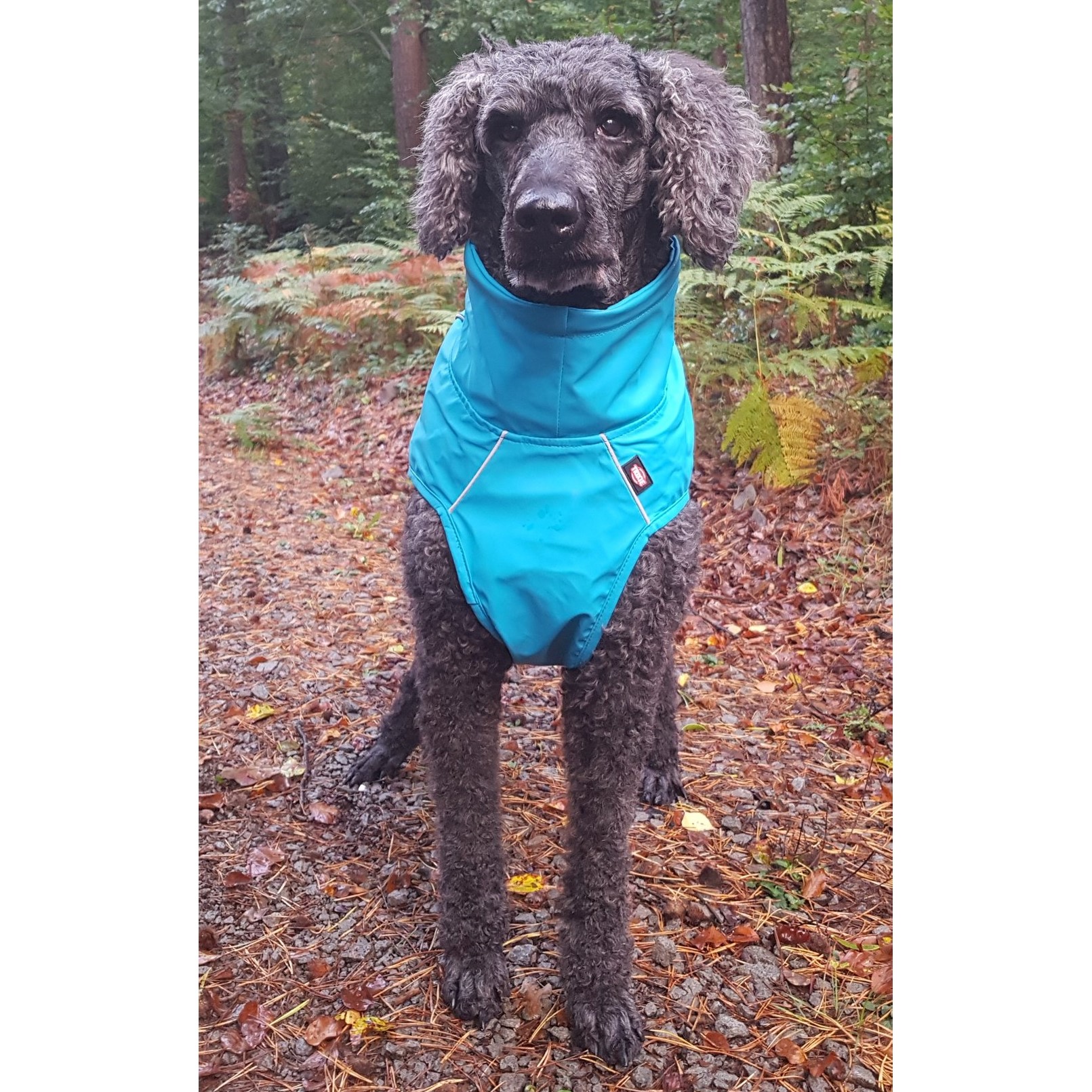 Trixie Vimy Rain Coat Regndekken Hundekken