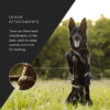 Non-Stop Dogwear Line Harness Long WD Lang Hundesele Non-Stop Dogwear Line Harness Long WD Lang Hundesele