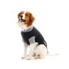 BUSTER Body Suit Classic til hund BUSTER Body Suit Classic til hund