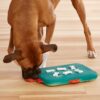Nina Ottosson Dog Smart Plast Aktivitetsleke Nina Ottosson Dog Smart Plast Aktivitetsleke