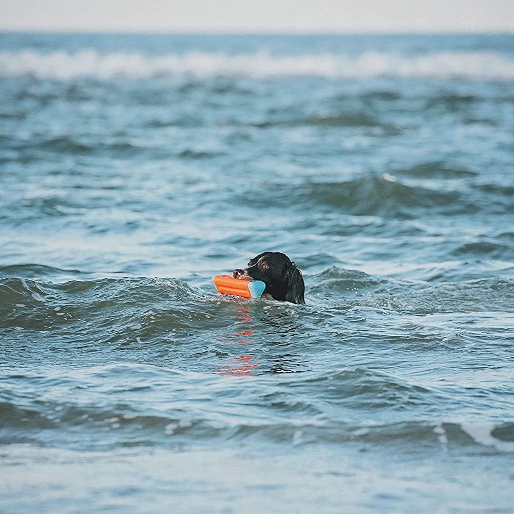 Chuckit! Amphibious Flytende Bumper Vannleke M Chuckit! Amphibious Flytende Bumper Vannleke M