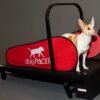 DogPACER MINI tredemølle DogPACER MINI tredemølle