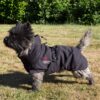 Varmedekken Catago FIR-Tech Healing Hundedekken Varmedekken Catago FIR-Tech Healing Hundedekken