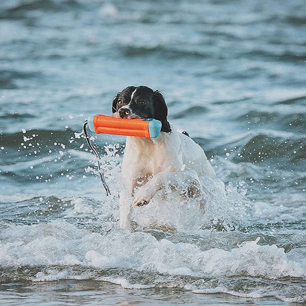 Chuckit! Amphibious Flytende Bumper Vannleke M Chuckit! Amphibious Flytende Bumper Vannleke M