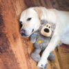KONG Wild Knots Bears Mix Kosedyr Hundeleke KONG Wild Knots Bears Mix Kosedyr Hundeleke