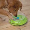 Nina Ottosson Wobble Bowl Aktivitetsleke Slow Feeder Nina Ottosson Wobble Bowl Aktivitetsleke Slow Feeder