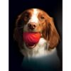 Starmark Foam Bacon Ball Hundeleke Starmark Foam Bacon Ball Hundeleke