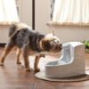 Petsafe drinkwell drikkefontene mini Petsafe drinkwell drikkefontene mini