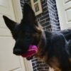 AirDog Tenniswobbler Pyramideball AirDog Tenniswobbler Pyramideball