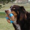 KONG CoreStrength Bamboo Bone Large KONG CoreStrength Bamboo Bone Large