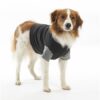 BUSTER Body Suit EasyGo til hunder BUSTER Body Suit EasyGo til hunder