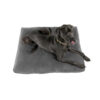 Buster-Kruuse Memory Foam Hundeseng Madrass Buster-Kruuse Memory Foam Hundeseng Madrass