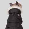 Canada Pooch Winterwilderness Hundejakke Canada Pooch Winterwilderness Hundejakke