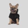 Canada Pooch Winterwilderness Hundejakke Canada Pooch Winterwilderness Hundejakke