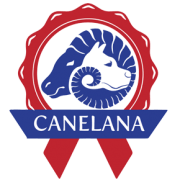 Canelana Ulldekken Thermo Vinterdekken Sort
