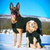 Canelana Selva 100% Ull Dekken Hund Canelana Selva 100% Ull Dekken Hund