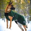 Canelana Selva 100% Ull Dekken Hund Canelana Selva 100% Ull Dekken Hund