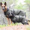 Canelana Ulldekken Thermo Vinterdekken Hund Grønn Canelana Ulldekken Thermo Vinterdekken Hund Grønn