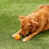 Chuckit! Breathe Right Ball Flyteleke Chuckit! Breathe Right Ball Flyteleke