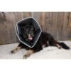 Comfy Cone Myk Hundeskjerm Halskrage Beskyttelseskrage Comfy Cone Myk Hundeskjerm Halskrage Beskyttelseskrage