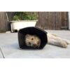 Comfy Cone Myk Hundeskjerm Halskrage Beskyttelseskrage Comfy Cone Myk Hundeskjerm Halskrage Beskyttelseskrage