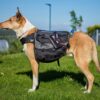 Non-Stop Dogwear Amundsen Kløv til hund Non-Stop Dogwear Amundsen Kløv til hund