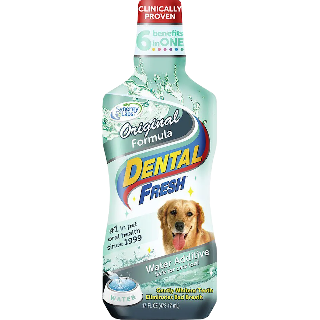 Dental Fresh Dog 473 ml