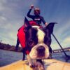 Ezydog flytevest Micro Ezydog flytevest Micro