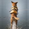 Ezydog Redningvest Flytevest til hund Ezydog Redningvest Flytevest til hund