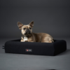 FIR-TECH hundeseng FIR-TECH hundeseng