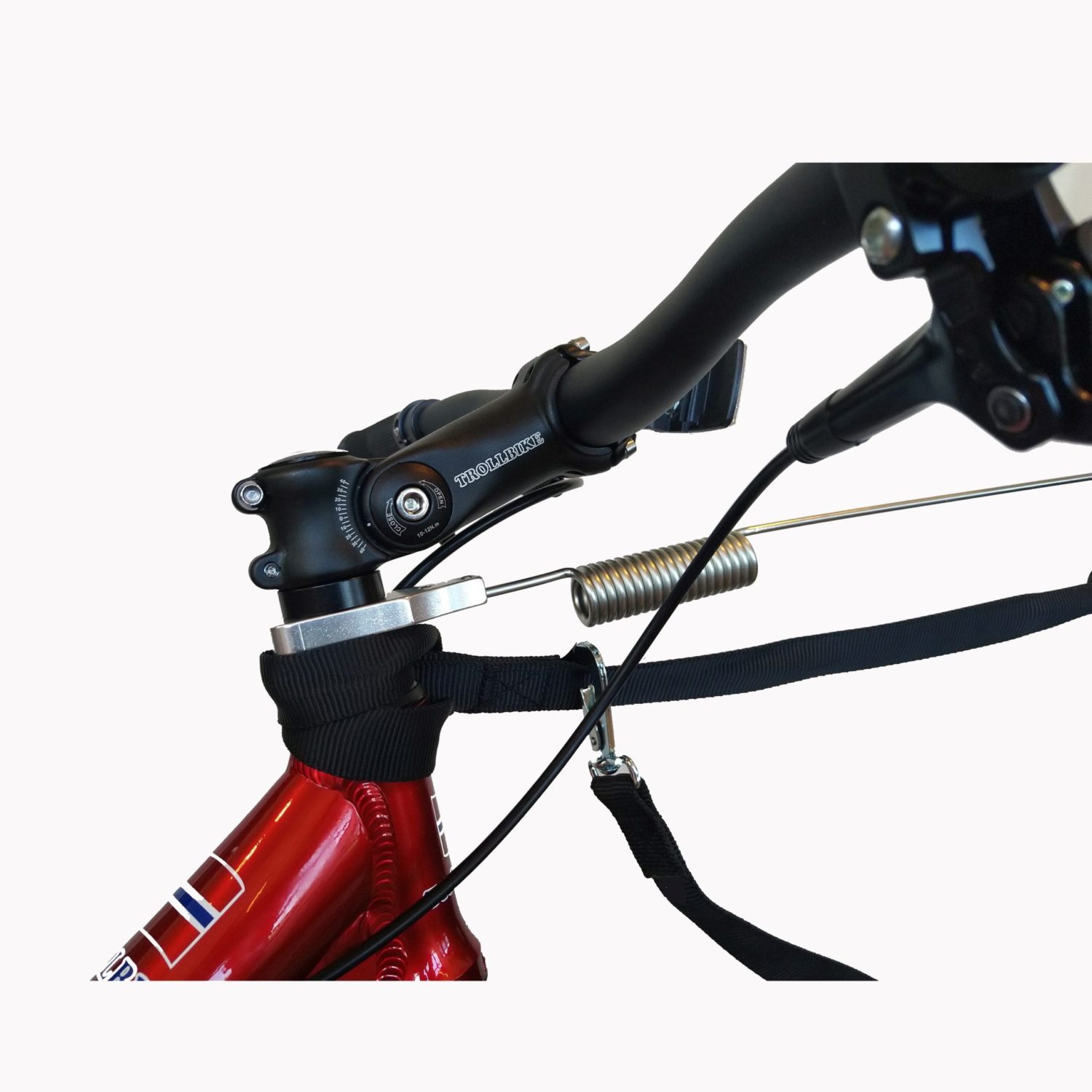 Trollbike Fat Eagle