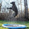 Ozami Dog Splash Pool Fontenematte Sprinklerbasseng Hund ø 150 cm Ozami Dog Splash Pool Fontenematte Sprinklerbasseng Hund ø 150 cm