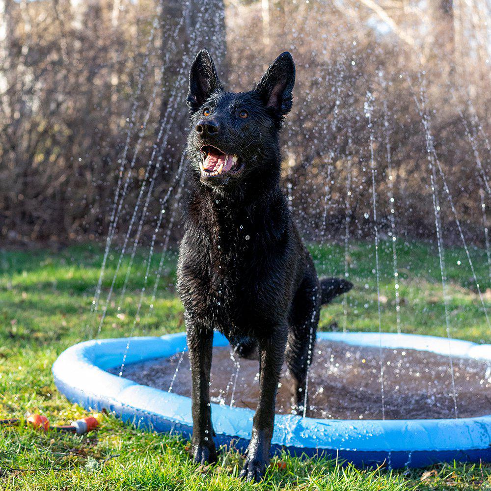 Ozami Dog Splash Pool Fontenematte Sprinklerbasseng Hund ø 150 cm
