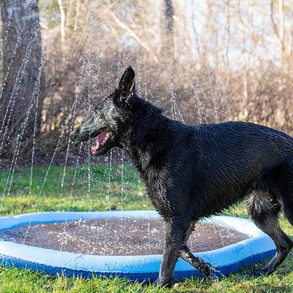 Ozami Dog Splash Pool Fontenematte Sprinklerbasseng Hund ø 150 cm