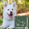 Gamedog Standard Gamedog Standard