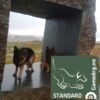 Gamedog Standard Gamedog Standard