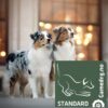 Gamedog Standard Gamedog Standard